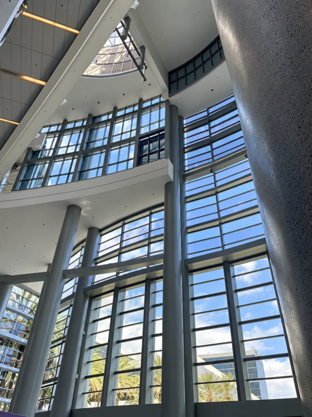 Tall atrium windows with natural light, blue sky, and palm trees outside